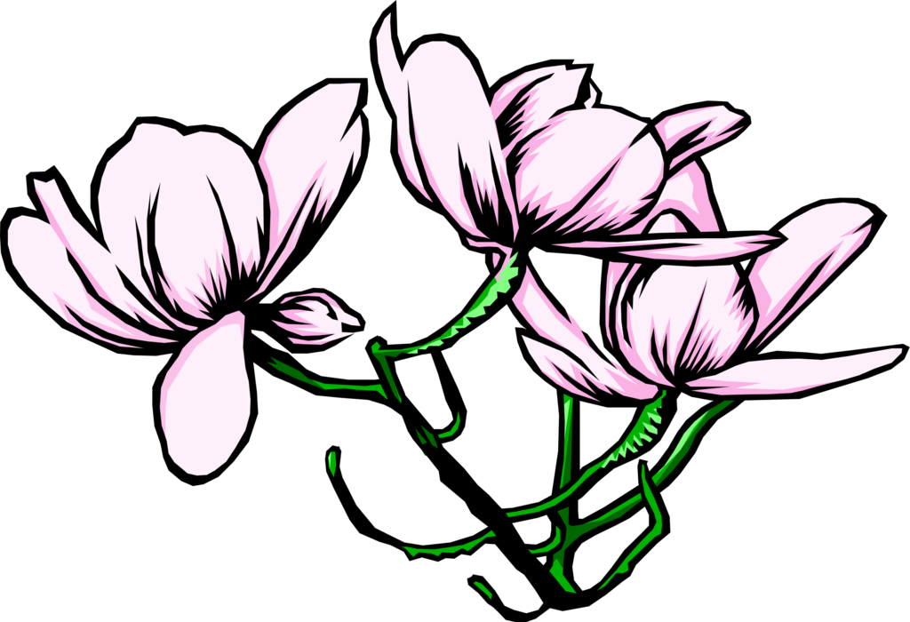 Vector Illustration of Purple Flowers