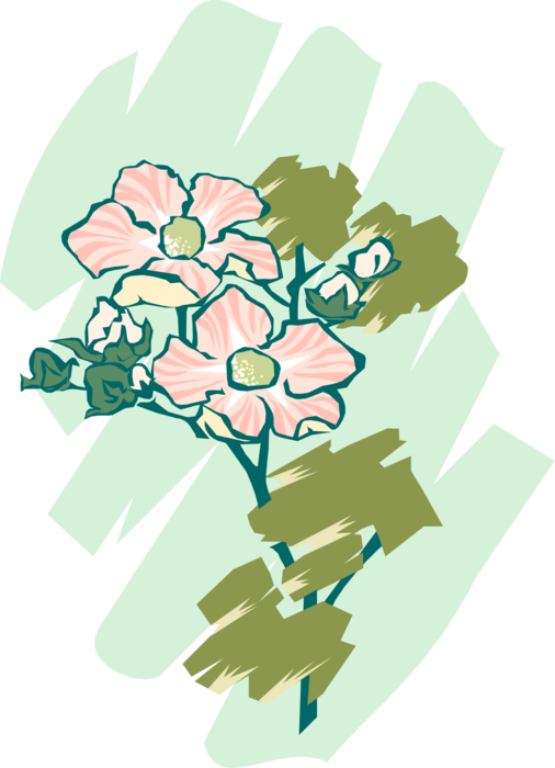 Vector Illustration of Garden Flowers in Bloom