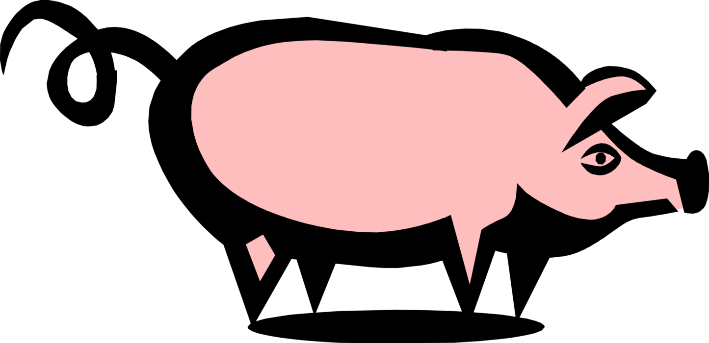 Vector Illustration of Domestic Farm Livestock Animal Pig