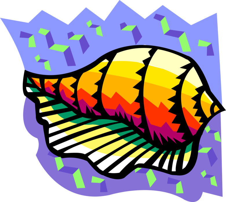 Vector Illustration of Marine Aquatic Mollusk Seashell