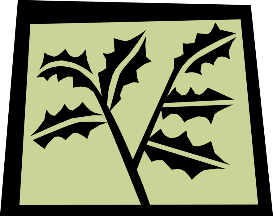 Vector Illustration of Deciduous Tree Vegetation Oak Leaves in Nature
