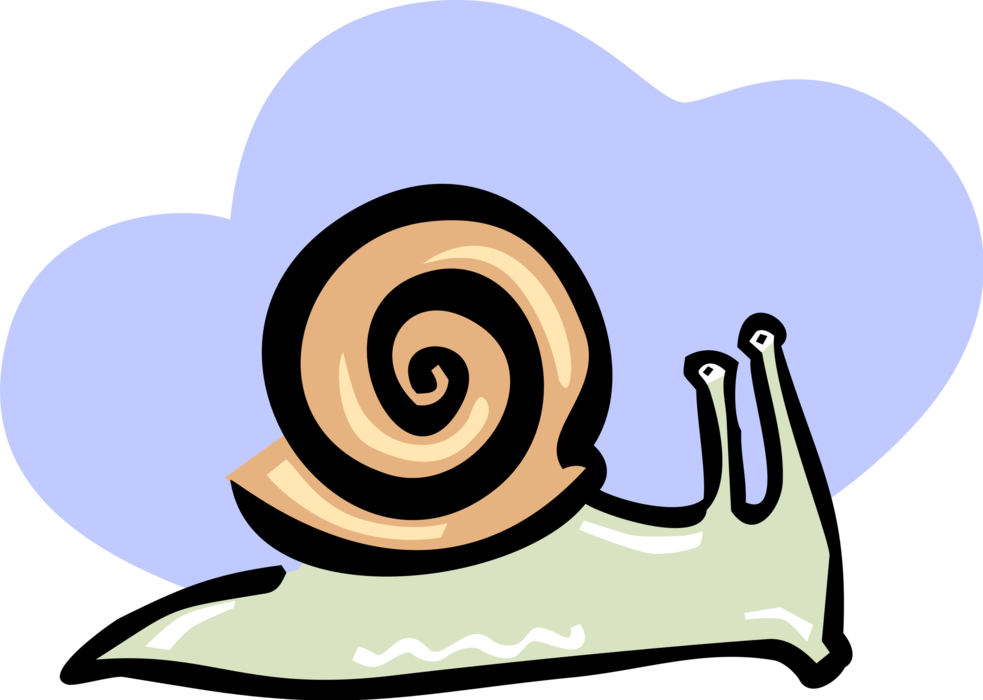 Vector Illustration of Snail or Terrestrial Gastropod Mollusk