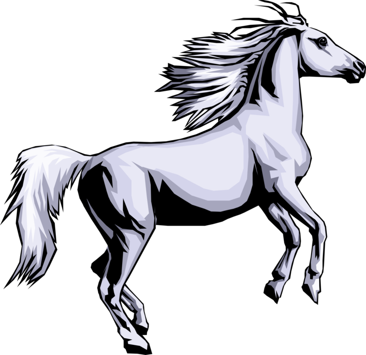 Vector Illustration of Quadruped Equine Equestrian White Stallion Horse