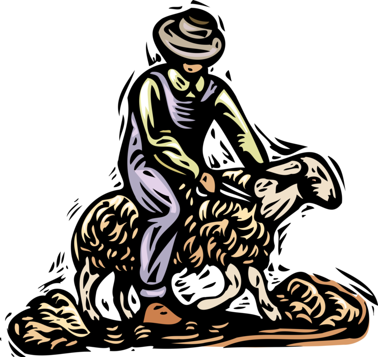 Vector Illustration of Farmer Shearing Sheep for Wool