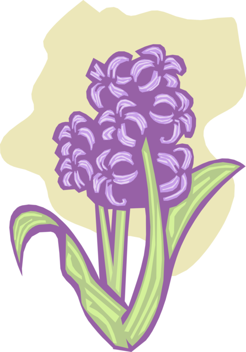 Vector Illustration of Purple Flower in Bloom in Garden