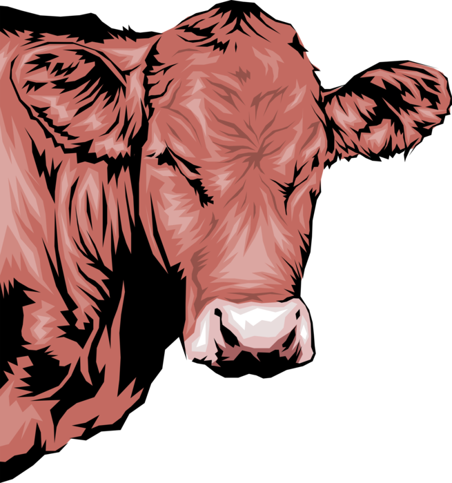 Vector Illustration of Brown Bovine Cattle Farm Agriculture Livestock Animal Cow Head
