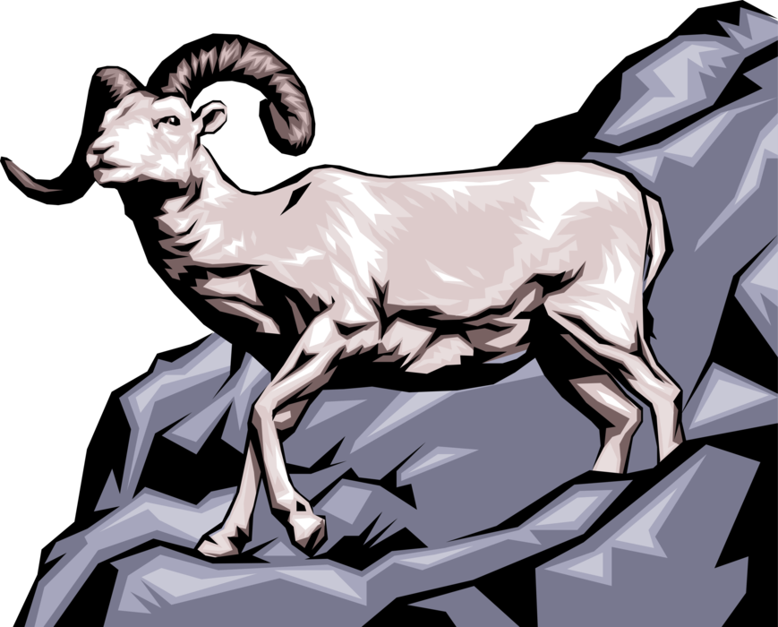 Vector Illustration of Thinhorn Dall Sheep Climbing Mountain