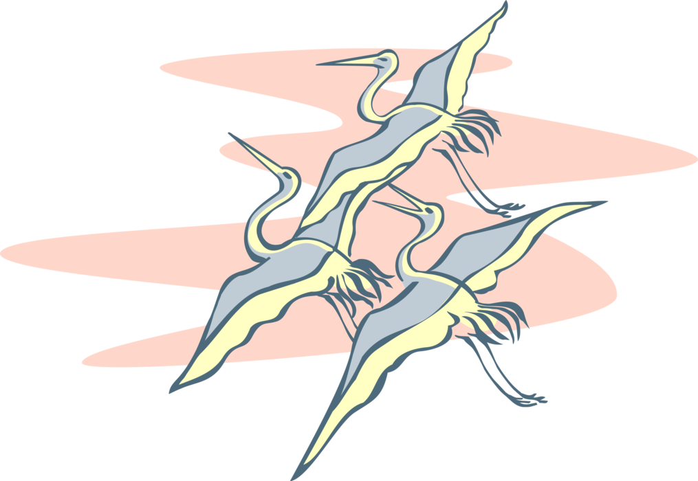 Vector Illustration of Three Great Blue Herons in Flight