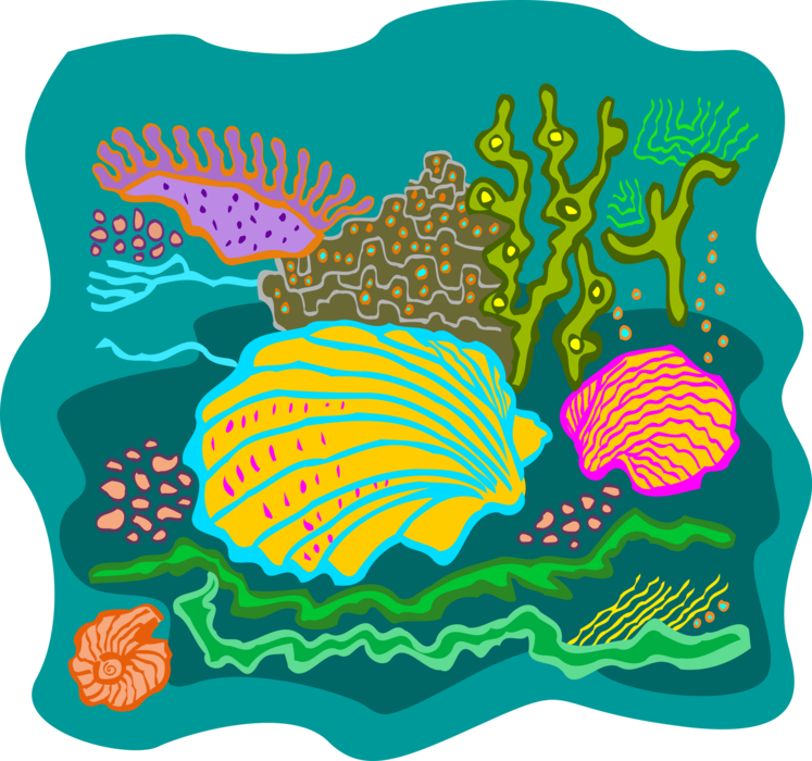 Vector Illustration of Colorful Underwater Marine Life Seashells and Reef