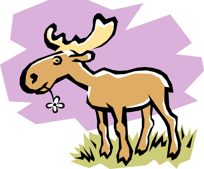 Vector Illustration of Canadian Mammal Moose Foraging