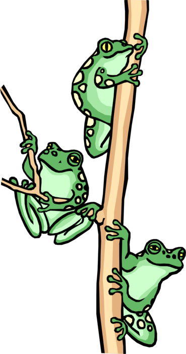 Vector Illustration of Happy Amphibian Tree Frogs Sitting in Tree