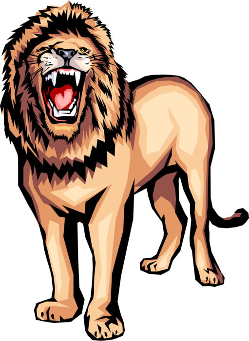 Vector Illustration of Large Cat Male African Lion King of Jungle Shows Its Teeth and Growls