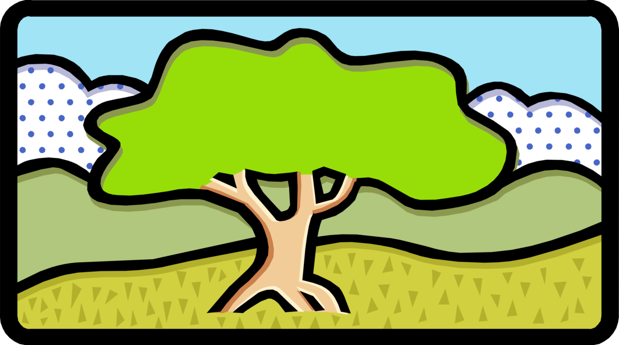 Vector Illustration of Deciduous Forest Tree in Natural Environment