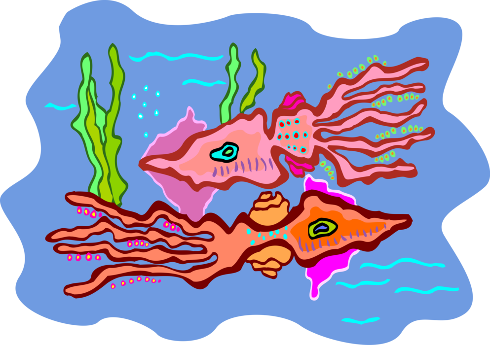 Vector Illustration of Colorful Underwater Marine Life Squid Swimming