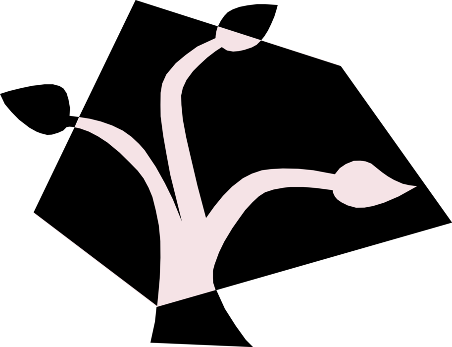 Vector Illustration of Sprouting Leaves on Deciduous Tree