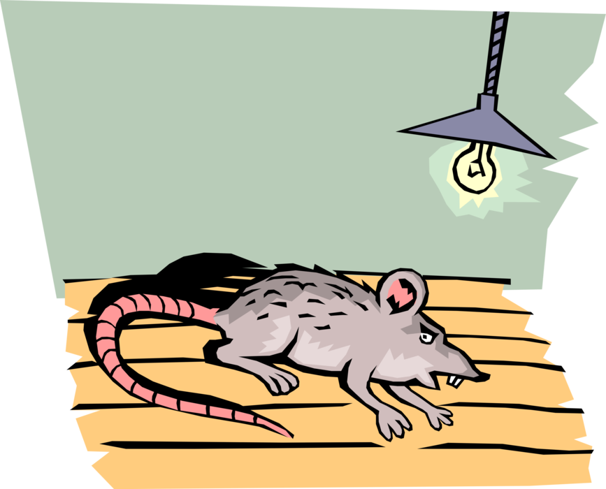 Vector Illustration of Rat Rodent Cornered Under Light