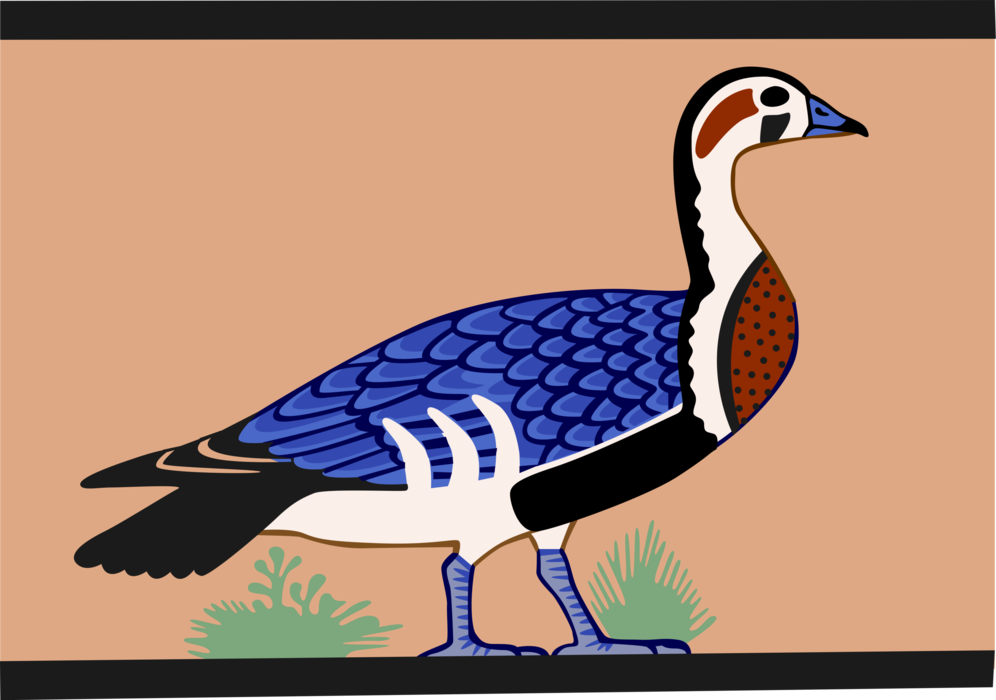 Vector Illustration of Feathered Waterfowl Goose