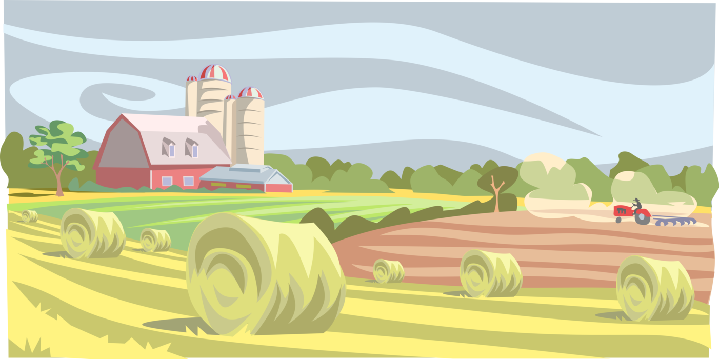 Vector Illustration of Pastoral Farm Landscape With Alfalfa Hay Harvest and Barn