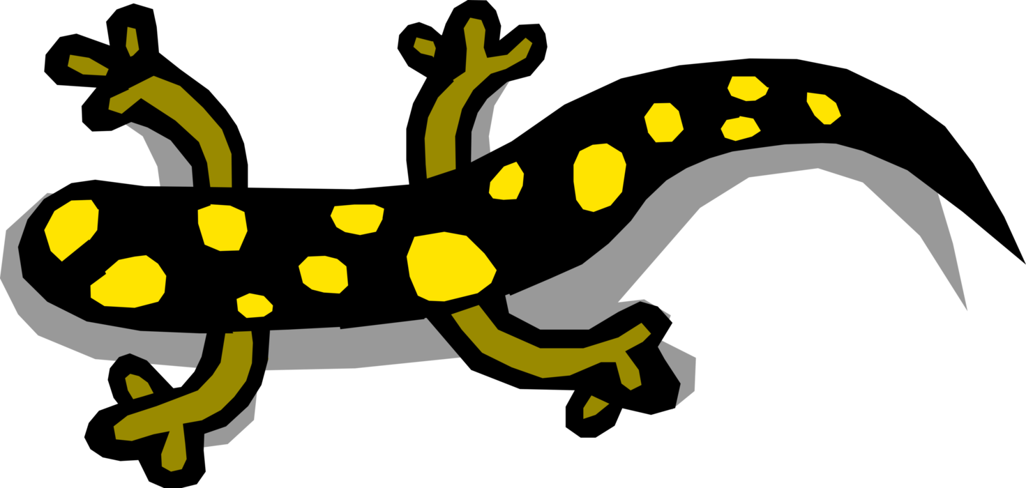 Vector Illustration of Amphibian Lizard-Like Salamander 