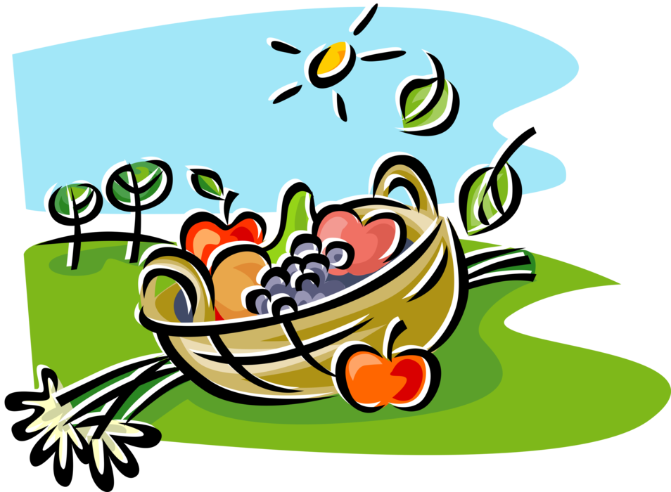 Vector Illustration of Fresh Fruits in Basket in Outdoor Setting
