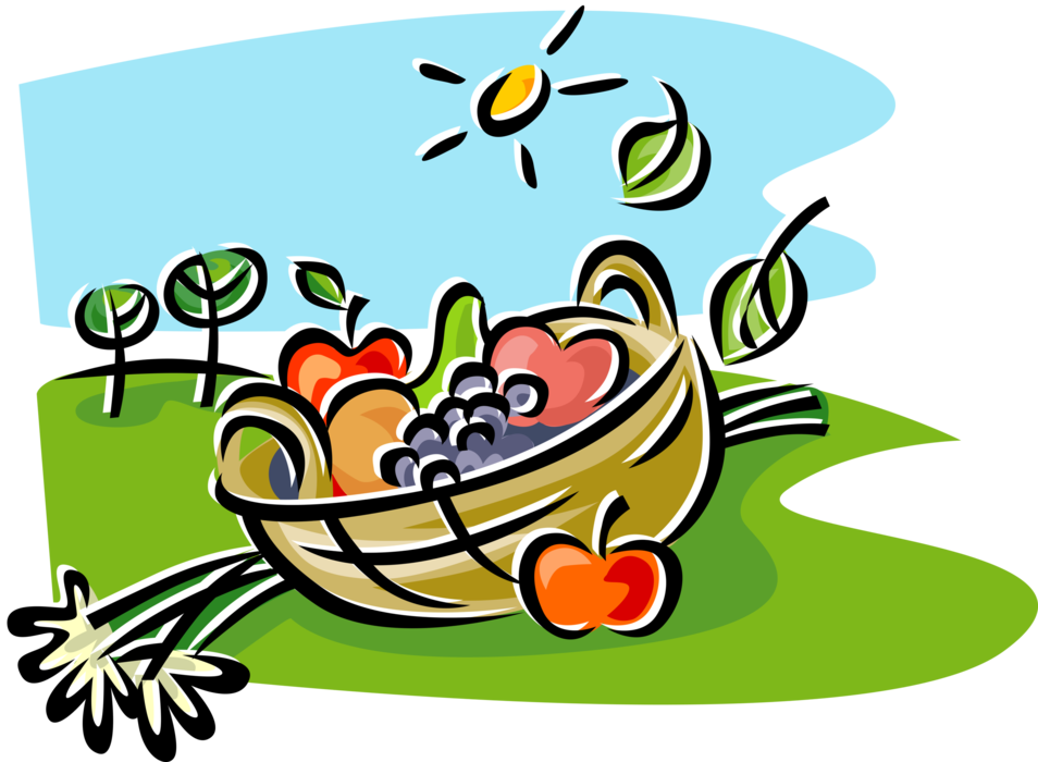 Vector Illustration of Fresh Fruits in Basket in Outdoor Setting