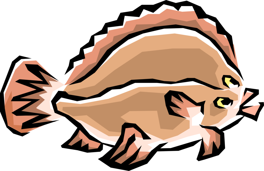 Vector Illustration of Flounder Flatfish Marine Fish