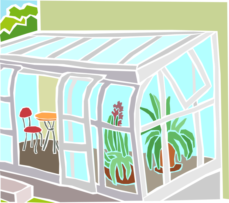 Vector Illustration of Sunroom with Houseplants Plants