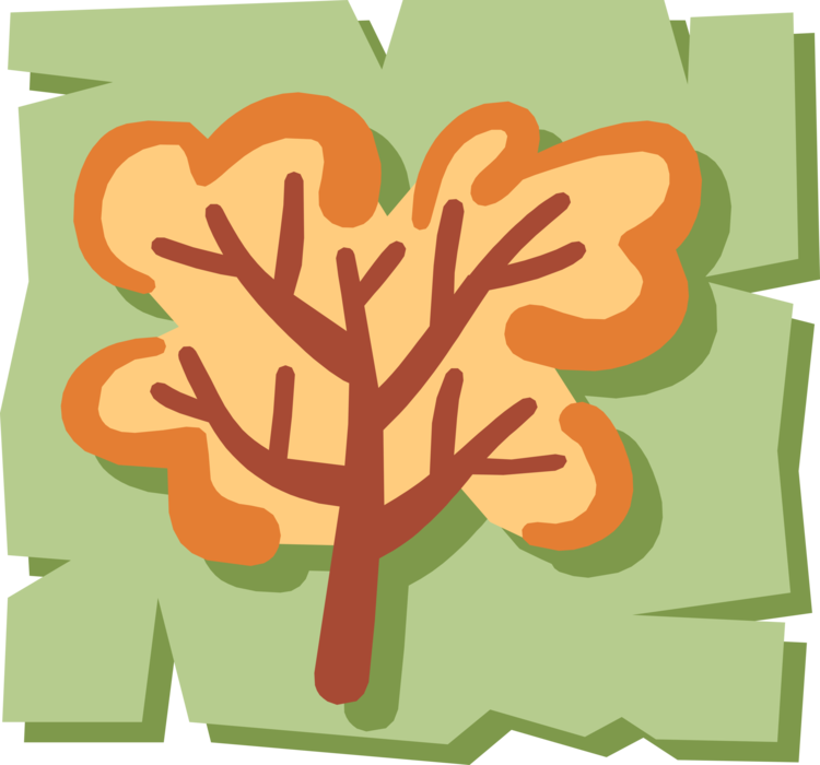 Vector Illustration of Deciduous Tree in Autumn Fall