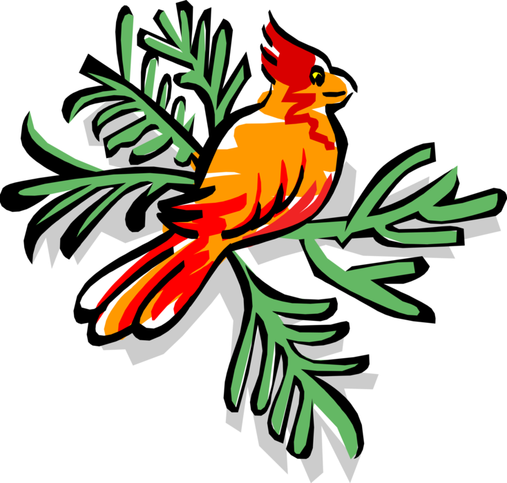 Vector Illustration of Feathered Vertebrate Red Cardinal Bird Sits on Branch