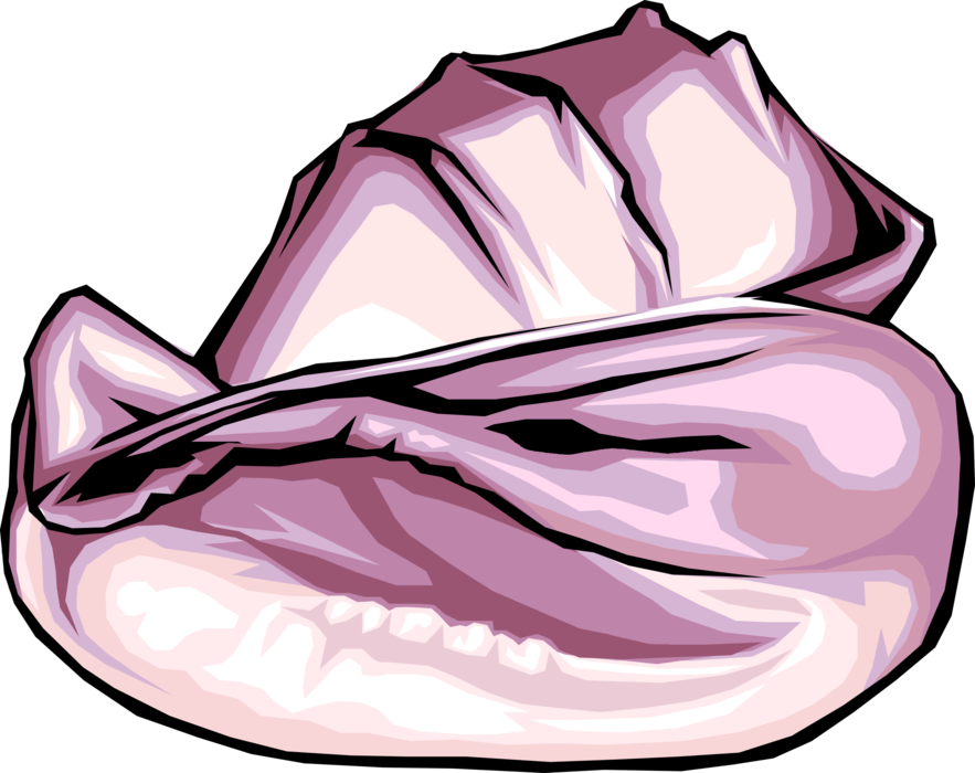 Vector Illustration of Marine Aquatic Mollusk Seashell