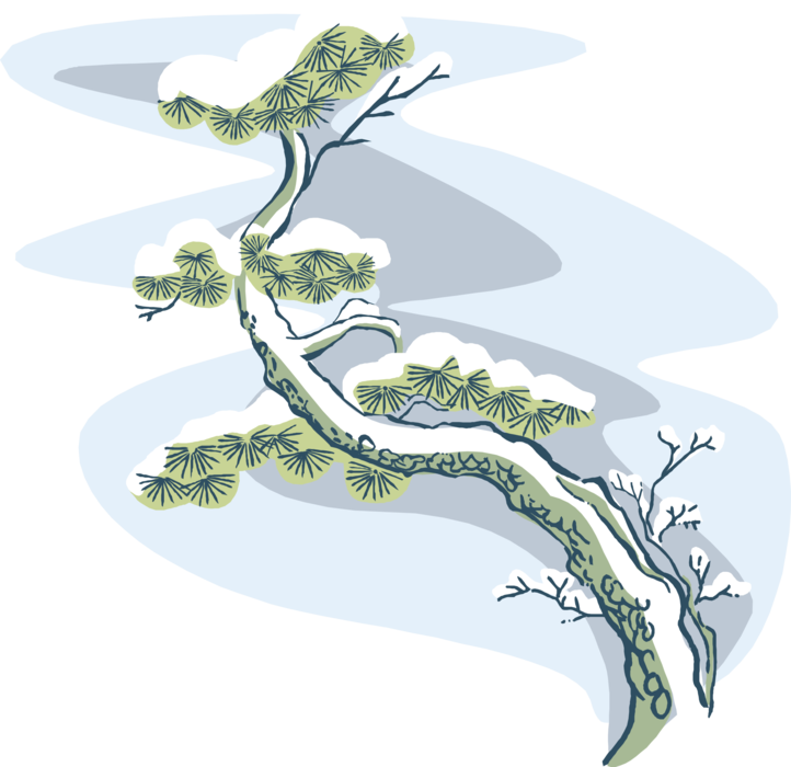 Vector Illustration of Snow Covered Coniferous Evergreen Bonsai Tree