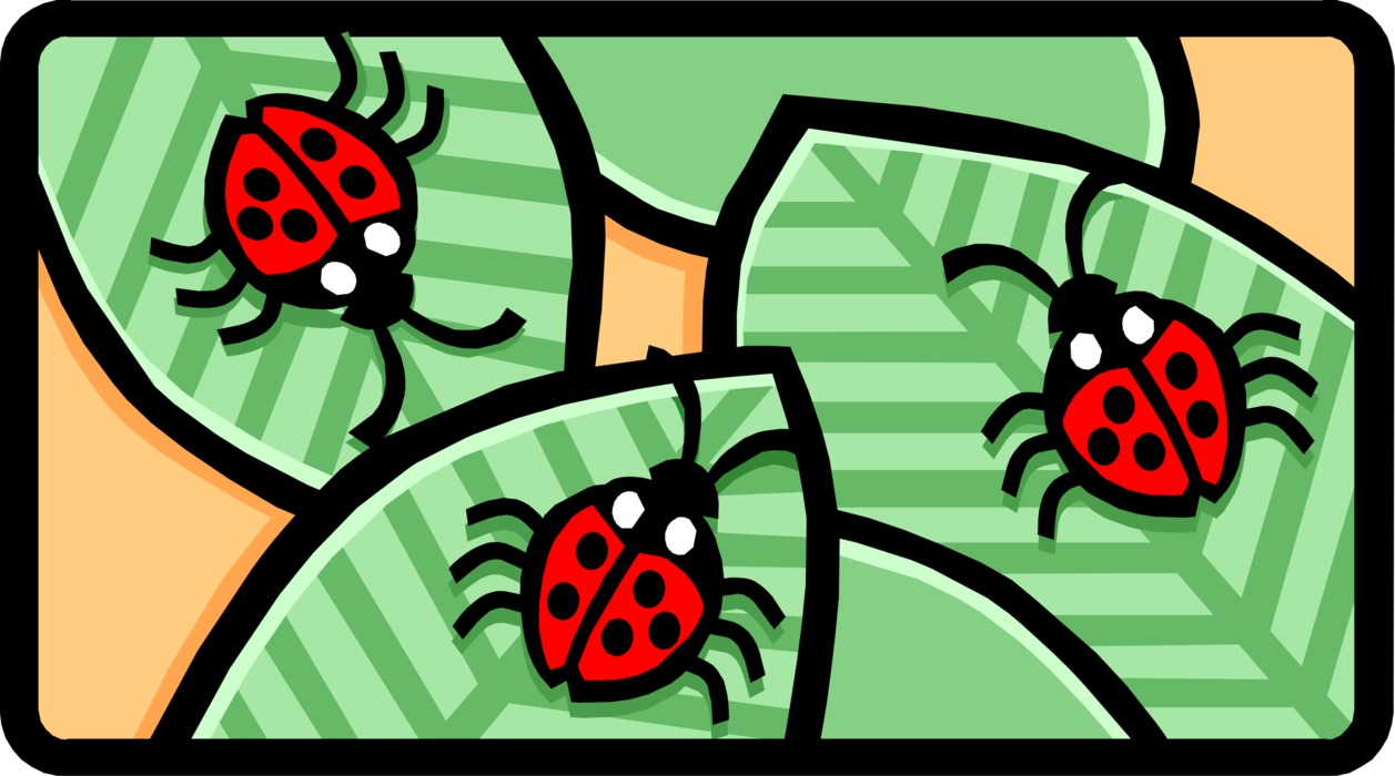 Vector Illustration of Small Coccinellidae Beetle Red Ladybug Insects on Green Leaves