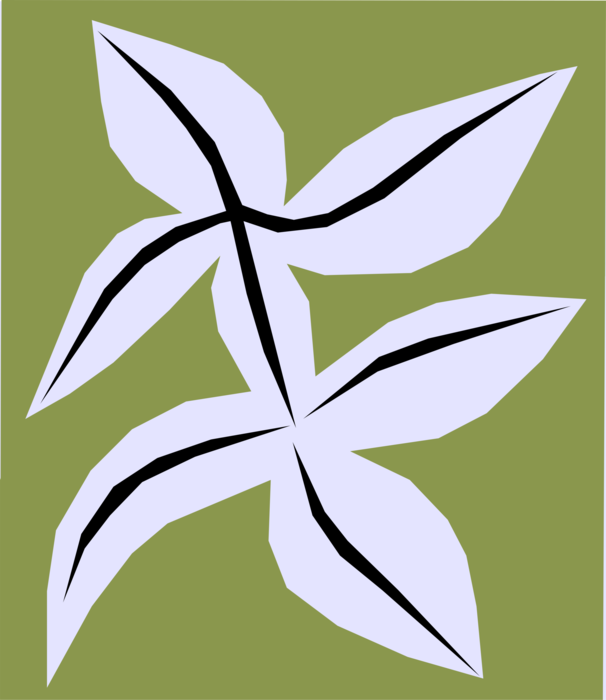 Vector Illustration of White Leaves on Green