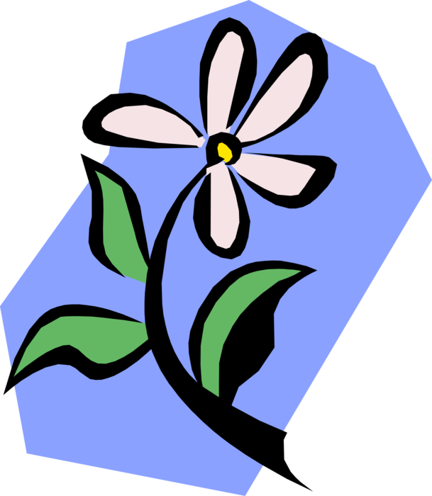 Vector Illustration of Garden Daisy Flower Blossoms and Stems