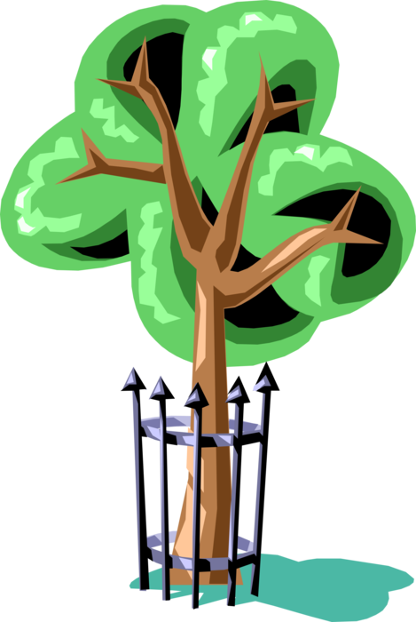 Vector Illustration of Deciduous Tree in City Park