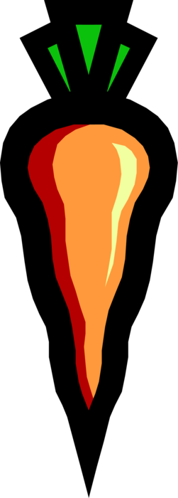 Vector Illustration of Garden Root Vegetable Carrot Contains Carotenoids for Vision and Eye Health