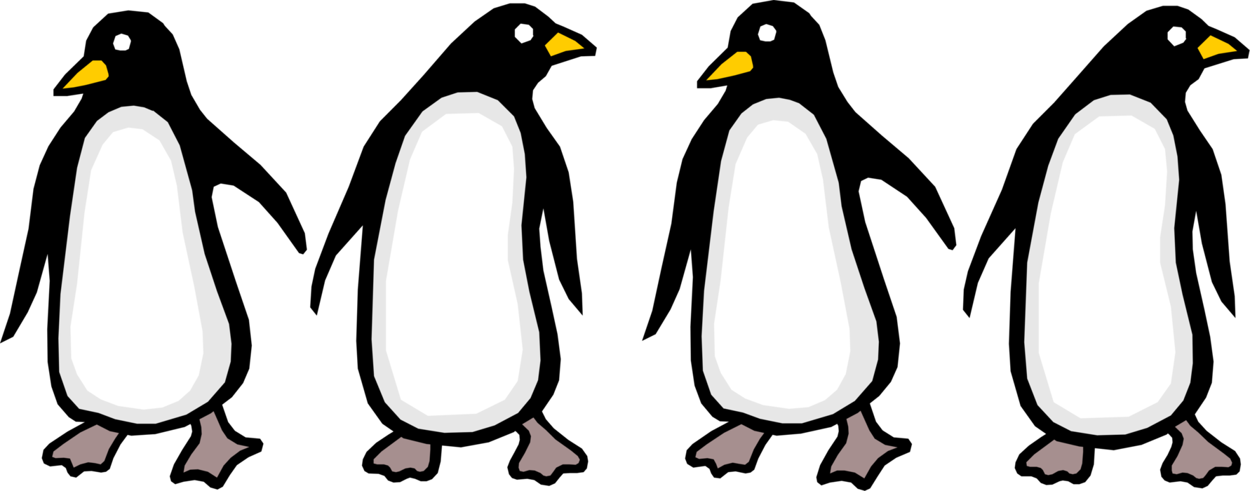 Vector Illustration of Southern Hemisphere Antarctic Polar Region Penguin Flightless Aquatic Birds Stand in Row