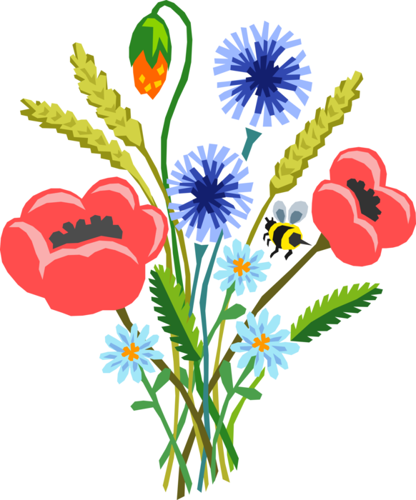 Vector Illustration of Poppy Flower Bouquet with Bumblebee