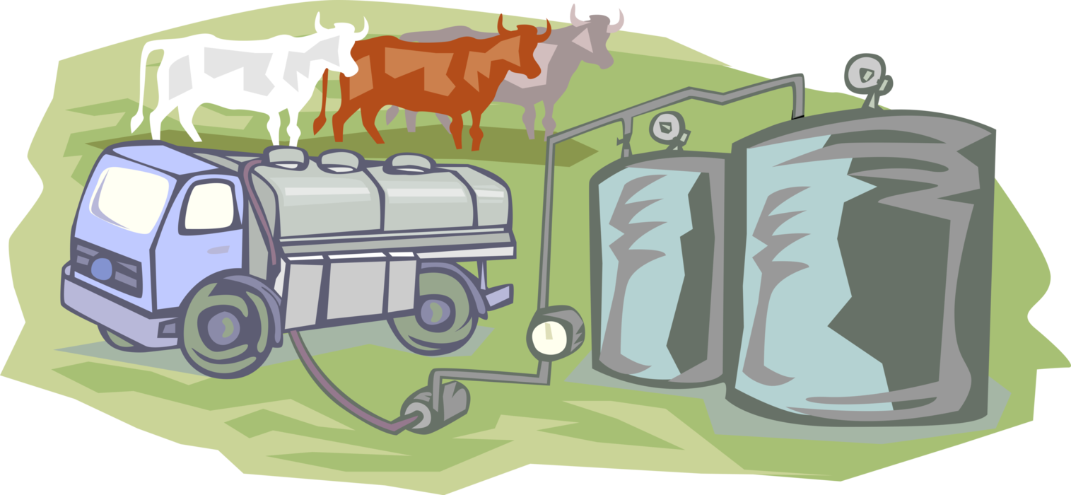 Vector Illustration of Dairy Farm Milk Truck Loading Fresh Milk with Cows