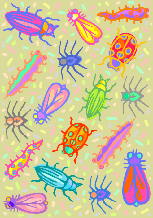 Vector Illustration of Insect Beetles, Spiders and Ladybug Bugs