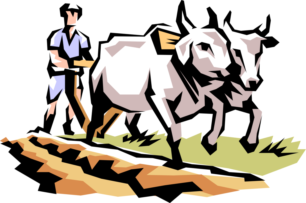 Vector Illustration of Early American Farmer with Oxen Plough Plows Farm Field