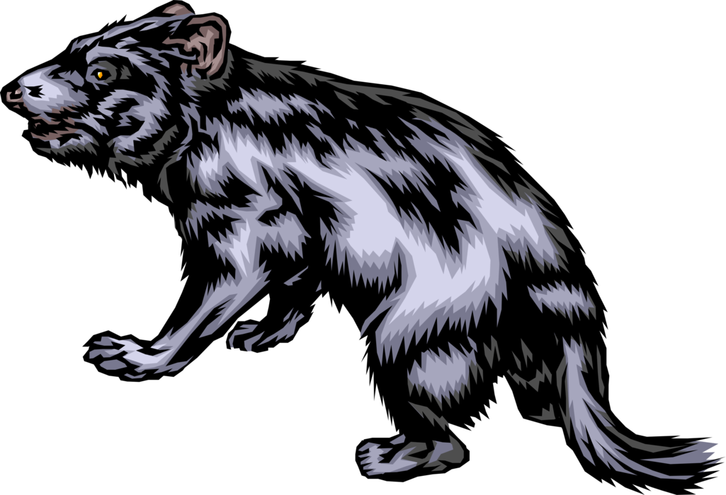 Vector Illustration of Australian Carnivorous Marsupial Tasmanian Devil Wolf