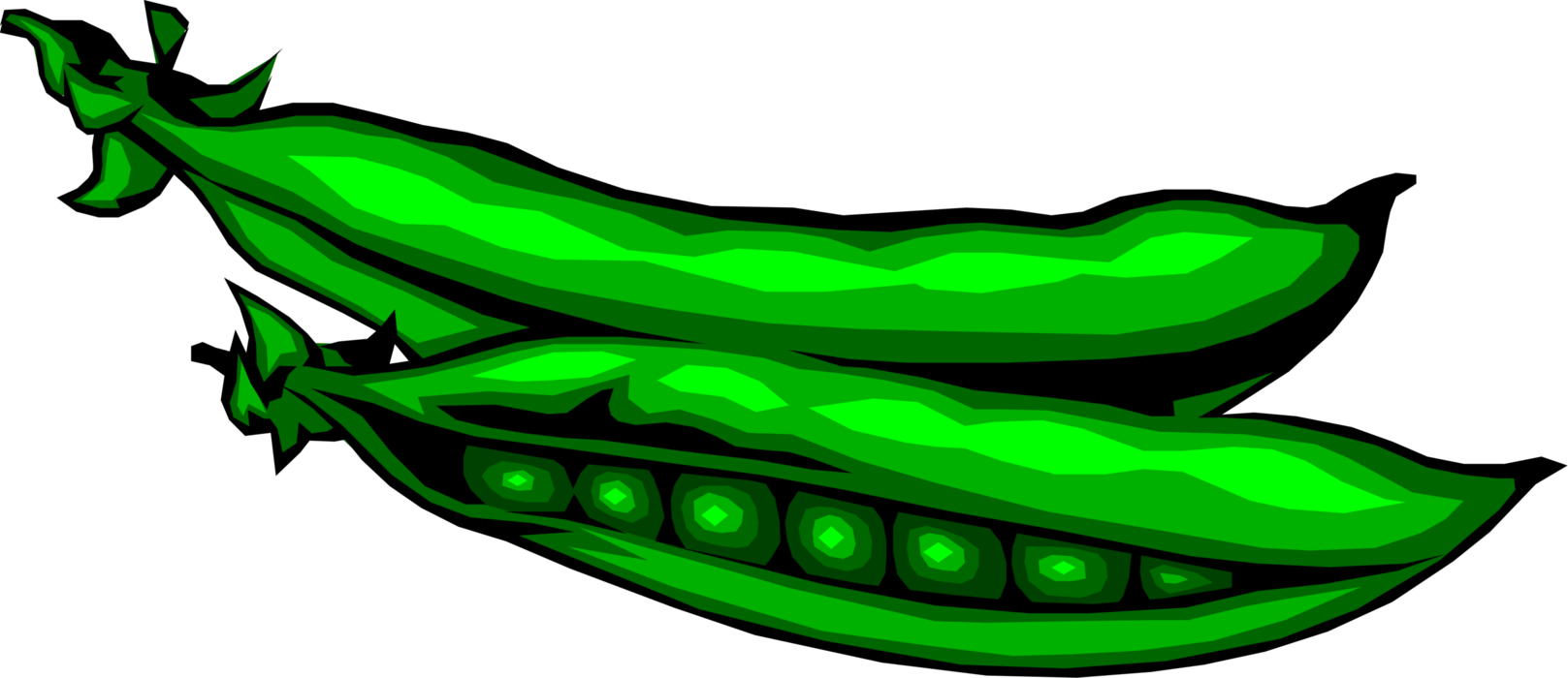 Vector Illustration of Seed-Pod Edible Vegetable Peas in Pod