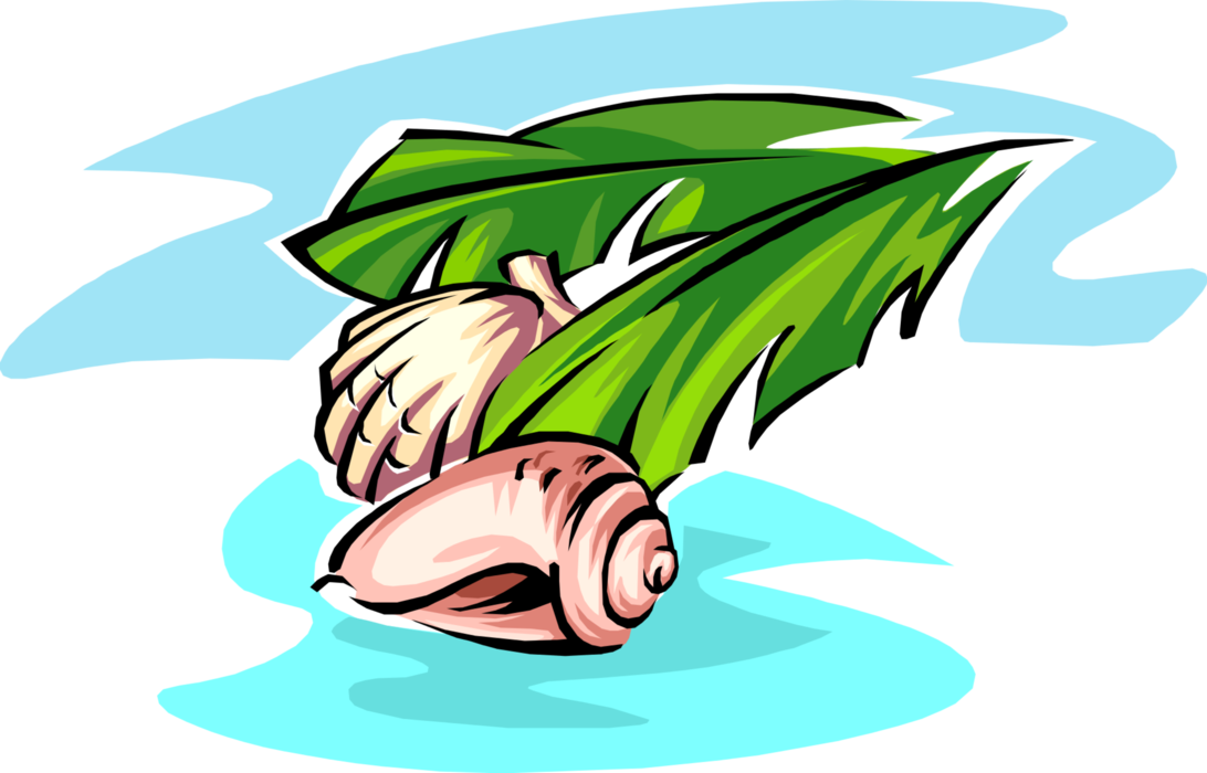 Vector Illustration of Seashells with Tropical Leaf Foliage