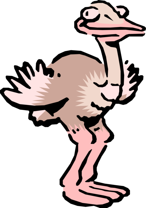 Vector Illustration of Cartoon African Ostrich Bird Smiles