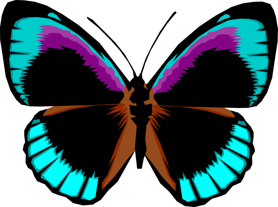Vector Illustration of Colorful Black and Blue Butterfly Winged Insect