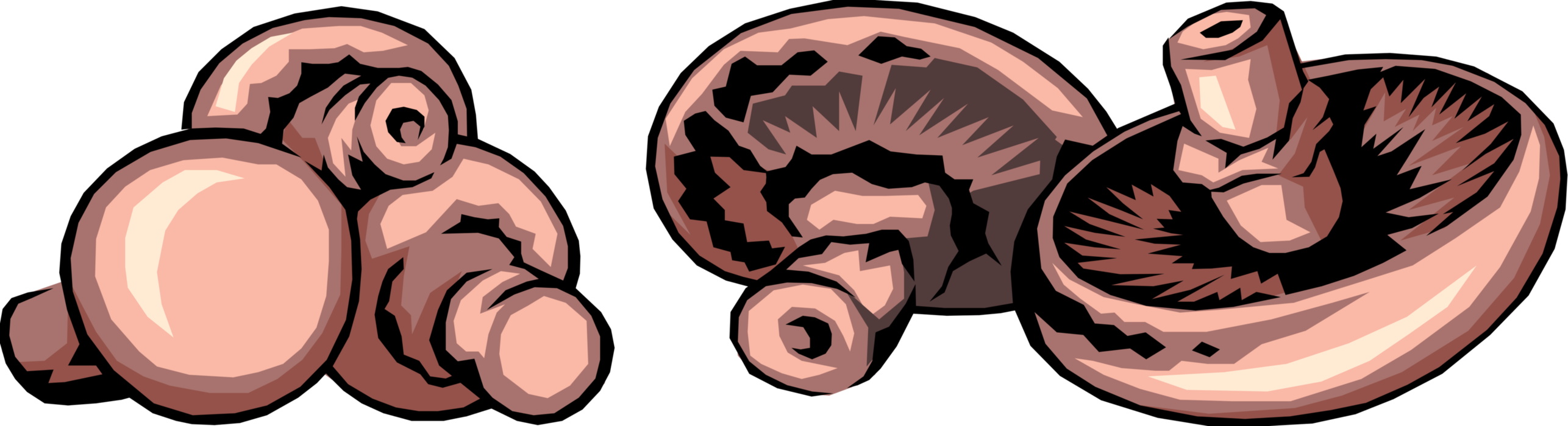 Vector Illustration of Edible Mushroom or Toadstool Fleshy Spore-Bearing Fungus Food