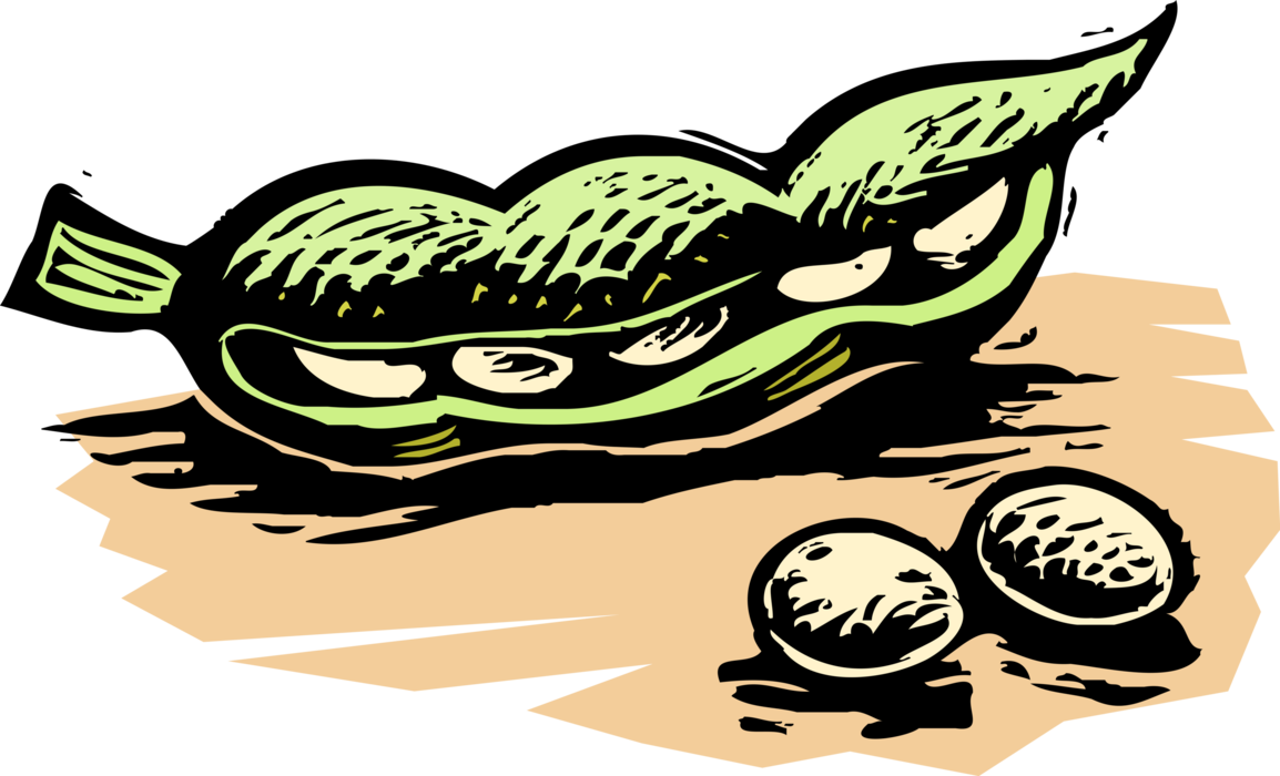 Vector Illustration of Seed-Pod Edible Vegetable Peas in Pod