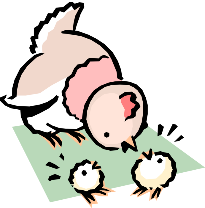 Vector Illustration of Cartoon Mother Chicken with Baby Chick Birds