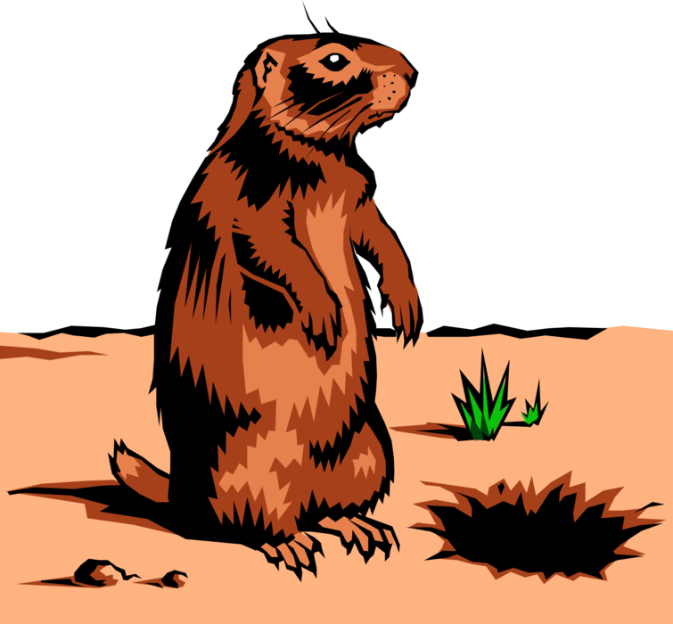 Vector Illustration of North American Burrowing Rodent Gopher